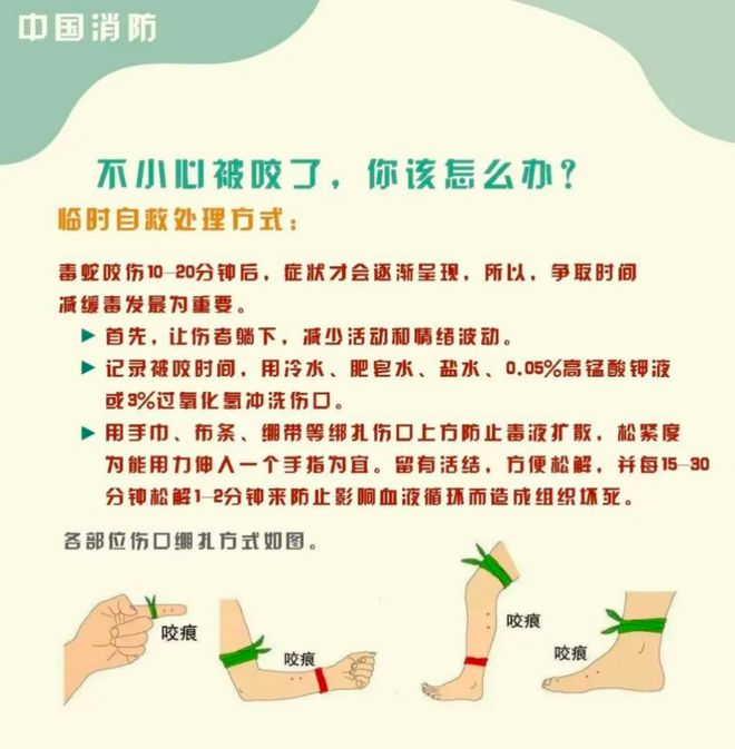 女子”死亡记录：曾诊断为不明生物咬伤(神经毒蛇) 等PG麻将胡了2试玩“三亚旅游被不明物咬伤身亡27岁(图5)