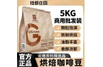 款阿拉比卡咖啡豆解锁全天候香醇体验PG麻